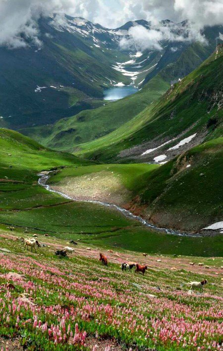 Beautiful Nature image