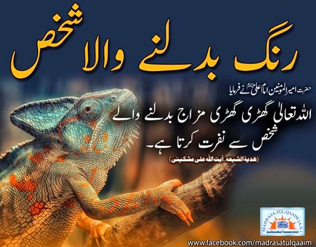 Islamic Quotes image