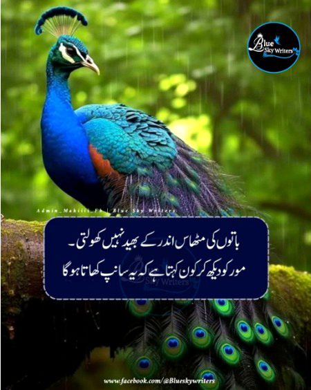 Social media post