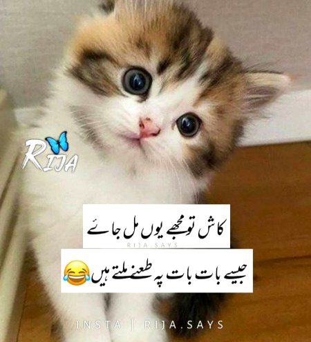 Jokes image