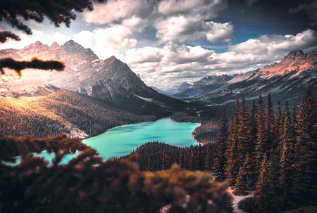 Beautiful Nature image