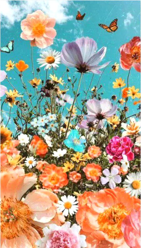 Beautiful Nature image