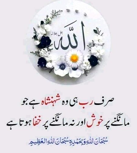 Islamic Quotes image