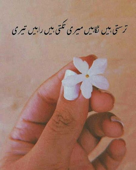 Sad Poetry image