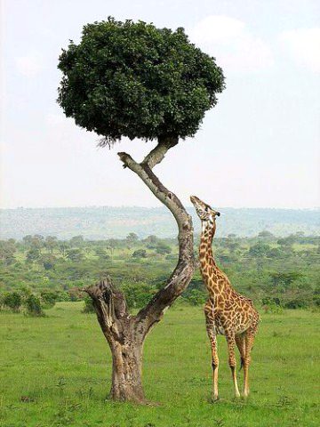 Beautiful Nature image