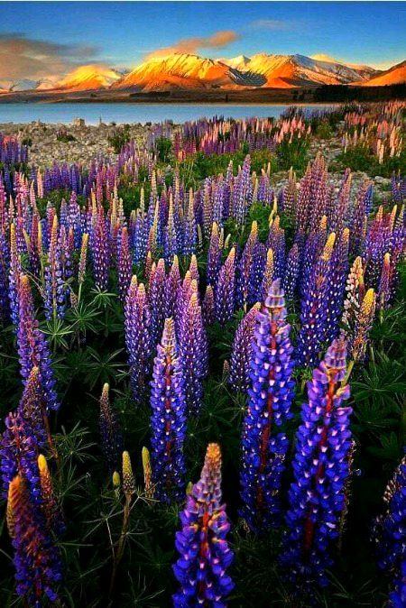 Beautiful Nature image