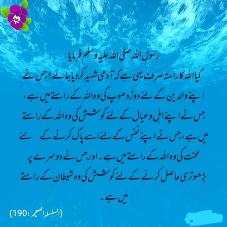 Islamic Quotes image