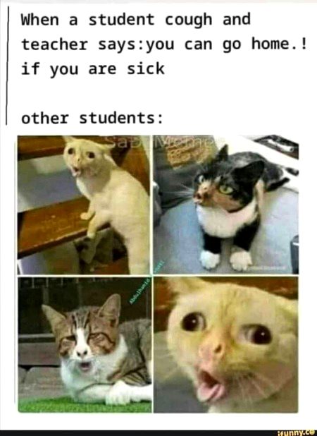 Memes & Satire image