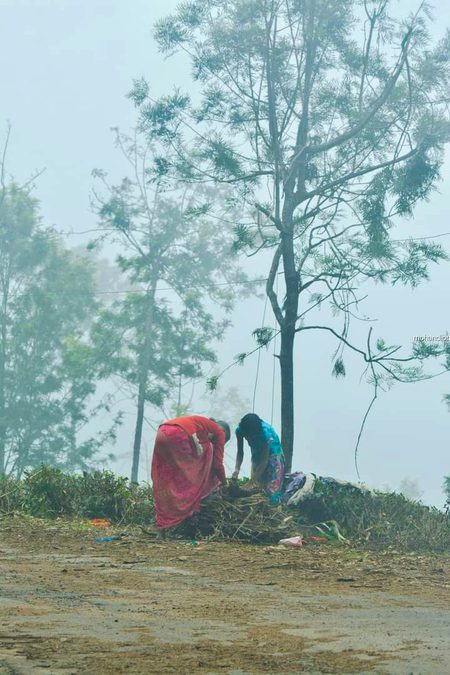 Beautiful Nature image