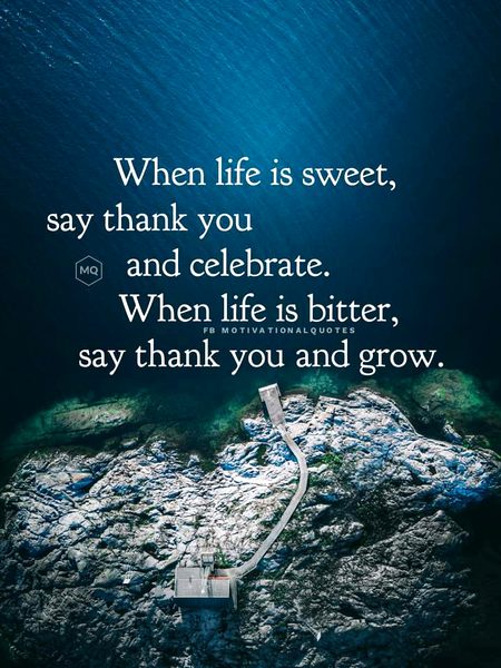 Life Advice image