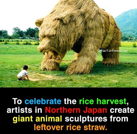 Beautiful Structures image