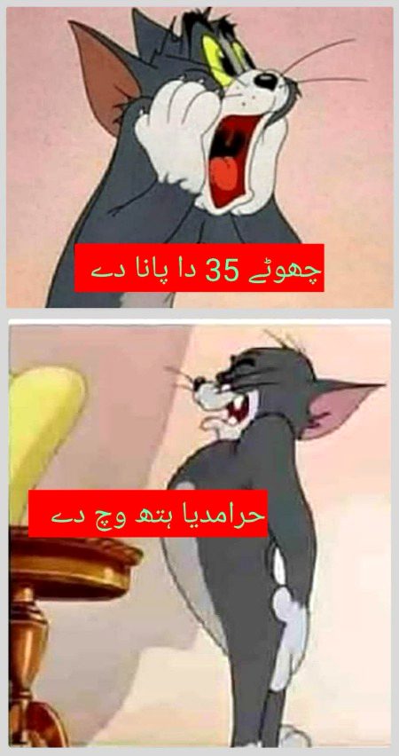Memes & Satire image