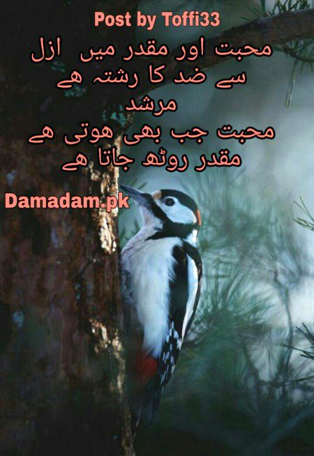 Sad Poetry image