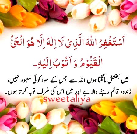 Islamic Quotes image