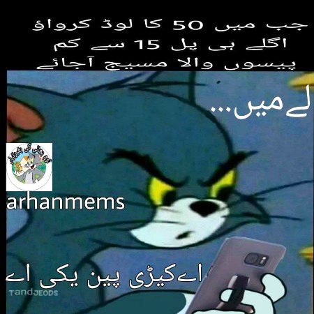 Memes & Satire image