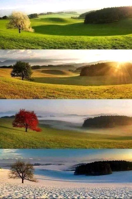 Beautiful Nature image