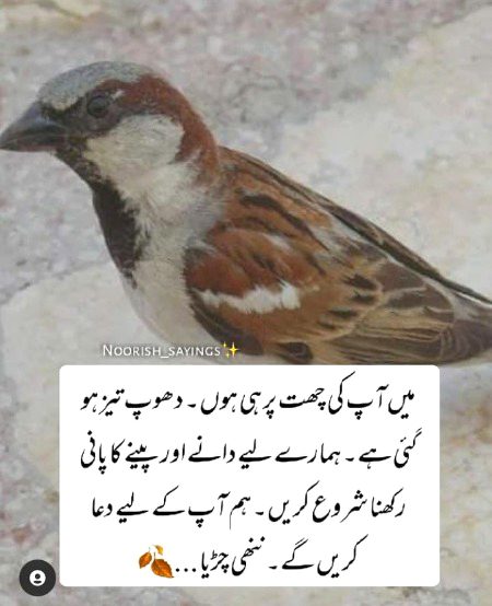 Social media post