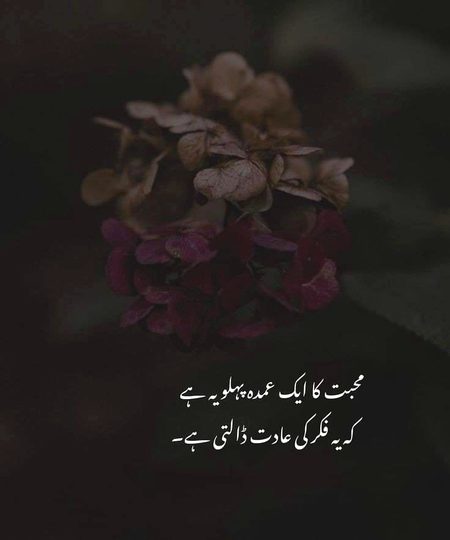 Romantic Poetry image