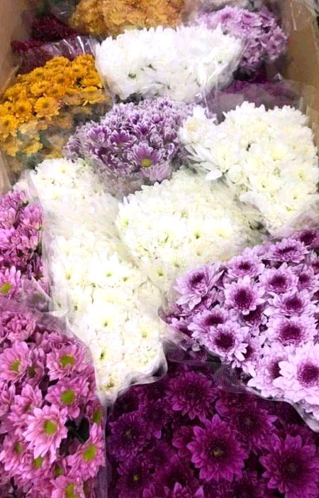 Beautiful Nature image