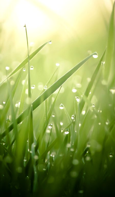 Beautiful Nature image