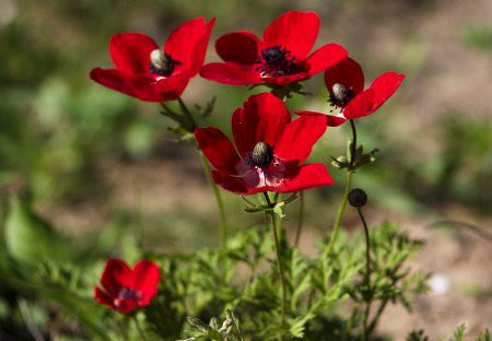 Beautiful Nature image