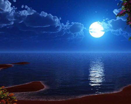 Beautiful Nature image