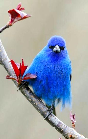 Beautiful Nature image