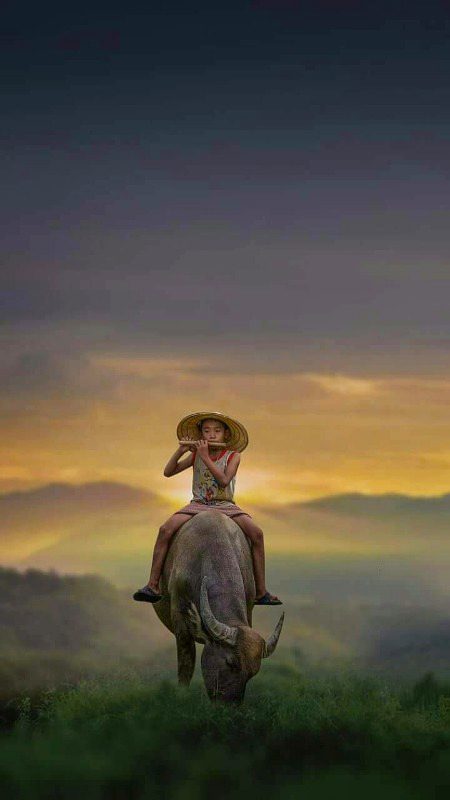 Beautiful Nature image