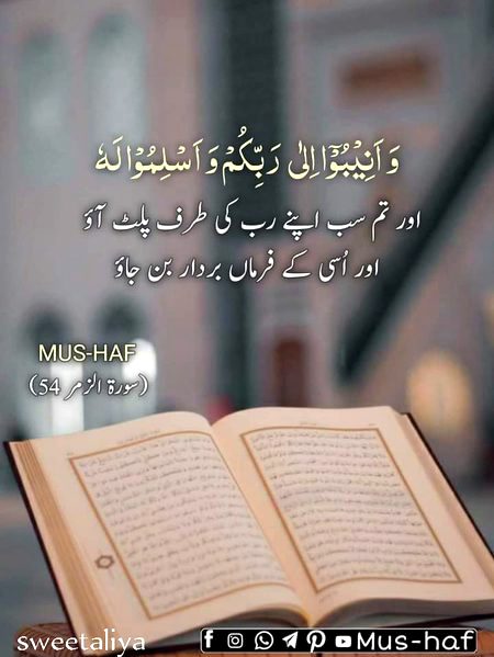 Islamic Quotes image