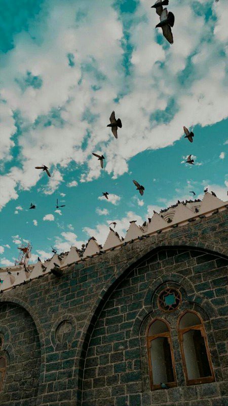 Beautiful Nature image