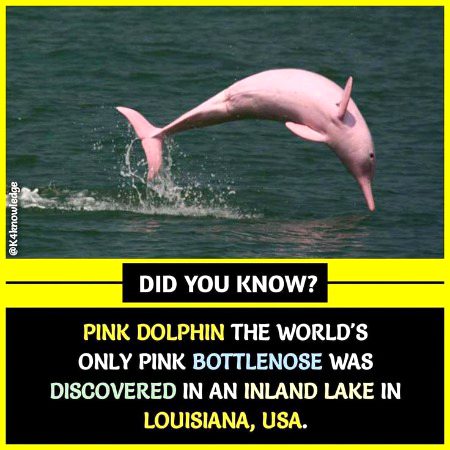 Interesting Posts image