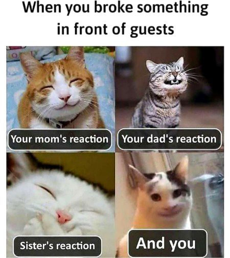 Memes & Satire image