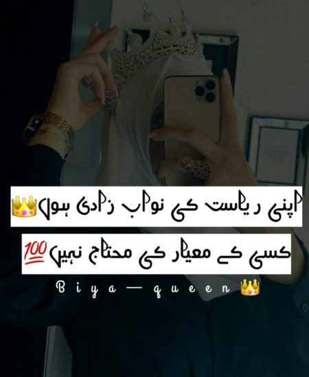 Attitude Quotes image