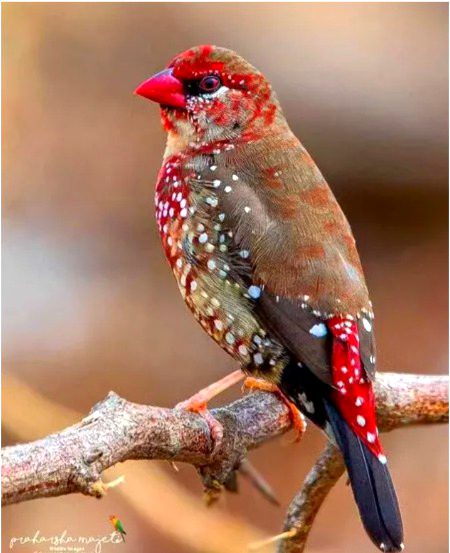 Beautiful Nature image