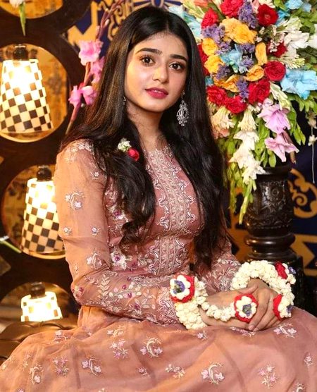 Pakistani Celebs image