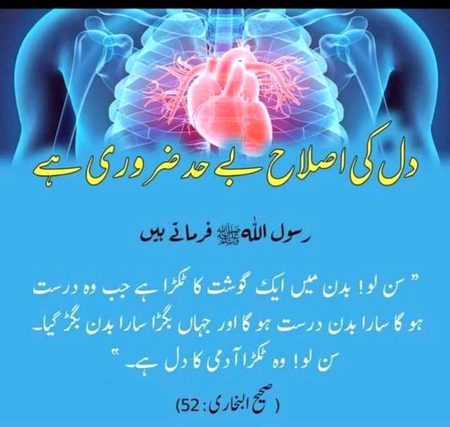 Islamic Quotes image