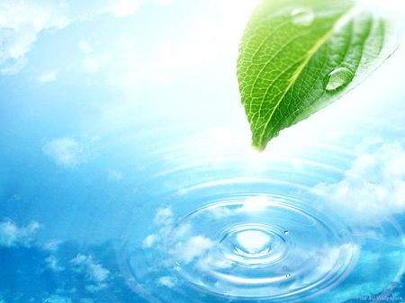Beautiful Nature image
