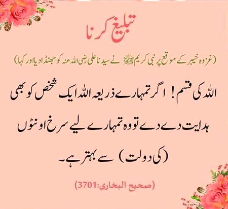 Islamic Quotes image