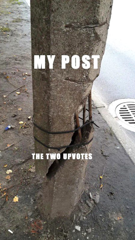 Memes & Satire image