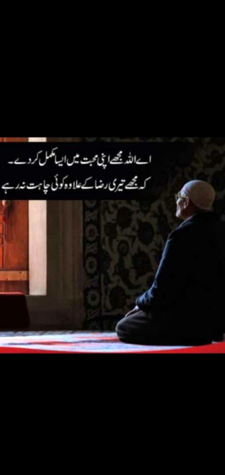 Islamic Quotes image