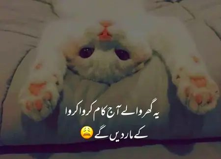 Social media post