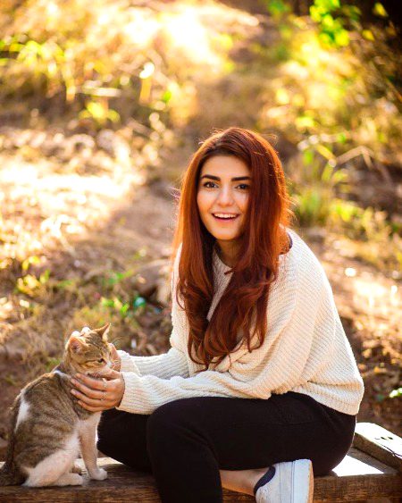 Pakistani Celebs image