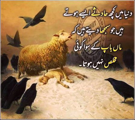 Social media post