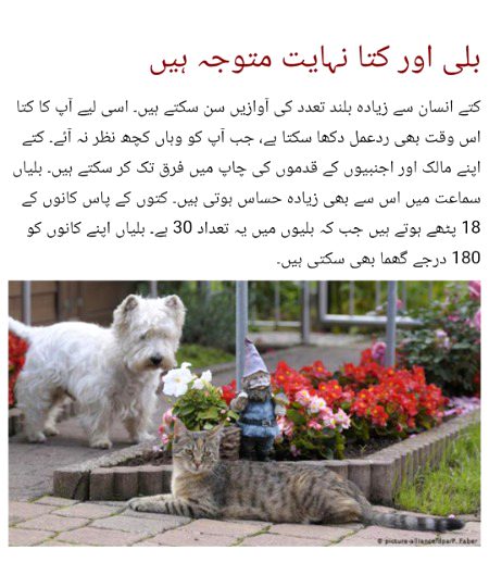 Interesting Posts image