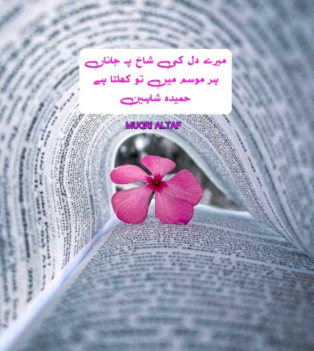 Romantic Poetry image