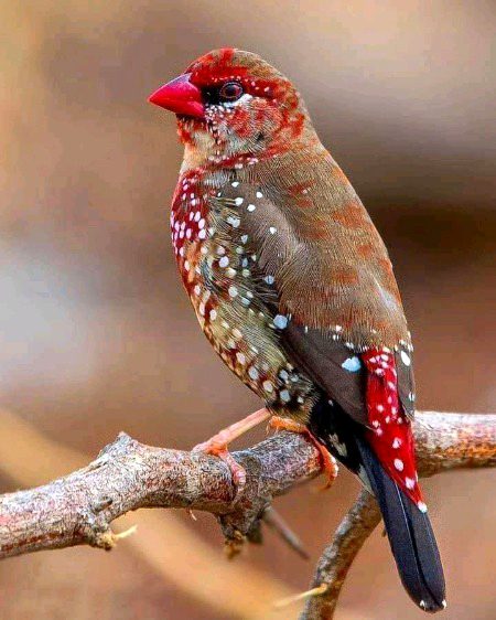 Beautiful Nature image