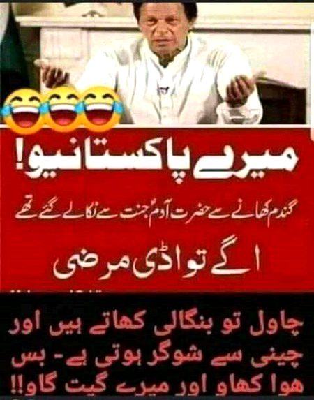 Memes & Satire image