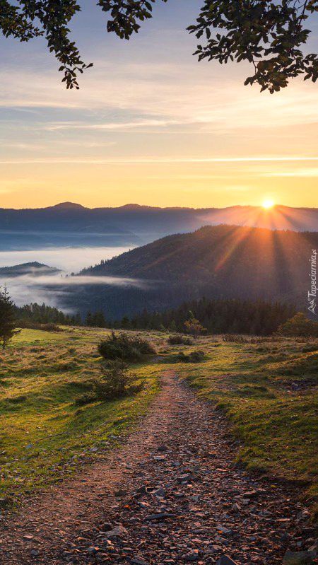 Beautiful Nature image