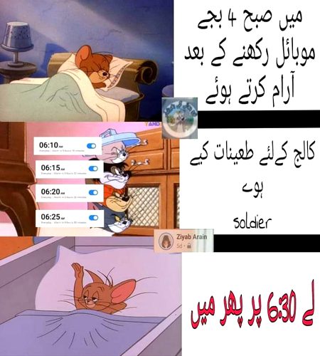 Memes & Satire image