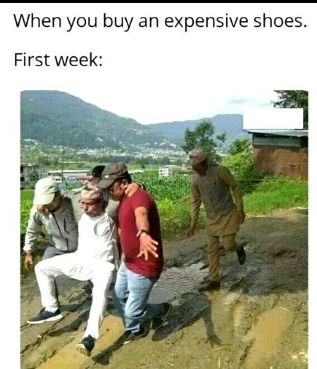 Memes & Satire image